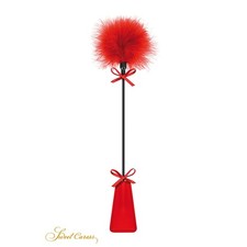 Cravache avec Plumeau rouge