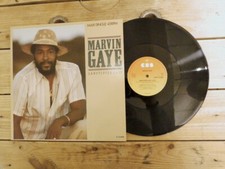 MARVIN GAYE SANCTIFIED LADY