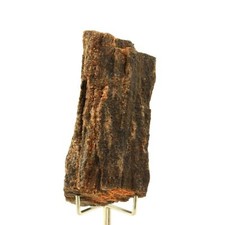 Bois pétrifié. 300.0 ct