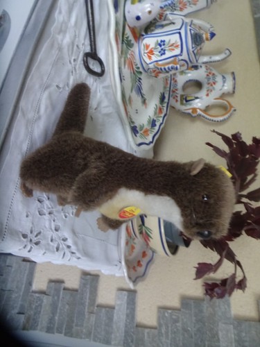 Peluche marmotte marque - marmotte, de