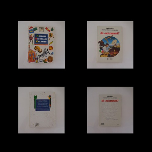 Livres activite bricolage - 2,