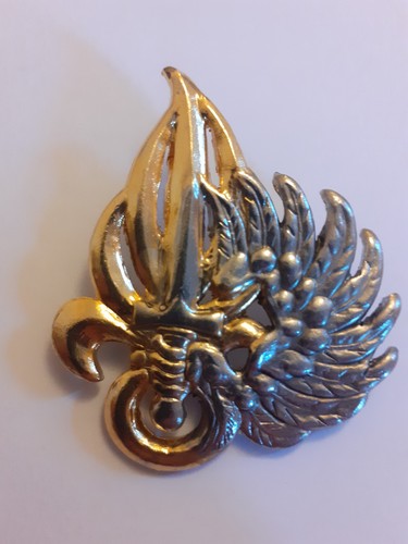 Insigne béret - insigne,