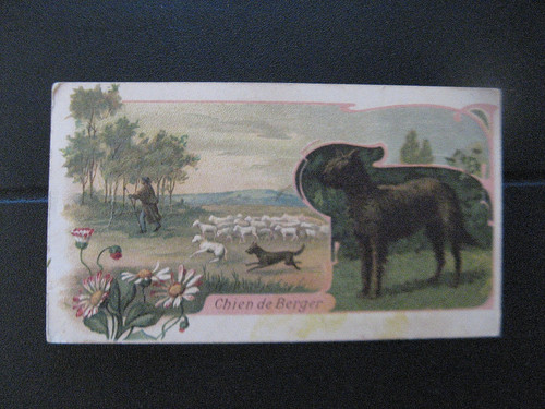 1812 chromo chien - ,