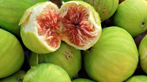 Honey drop ficus carica pingo - honey,