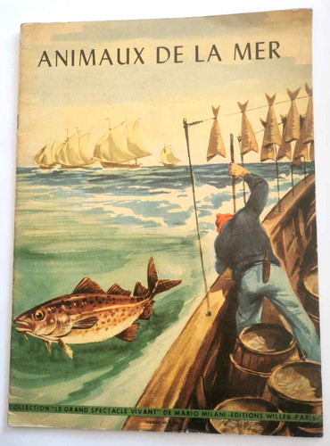 Animaux mer le - de,