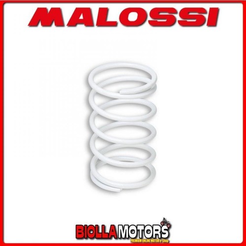 2913003 ressort variateur - 2913003.w0,