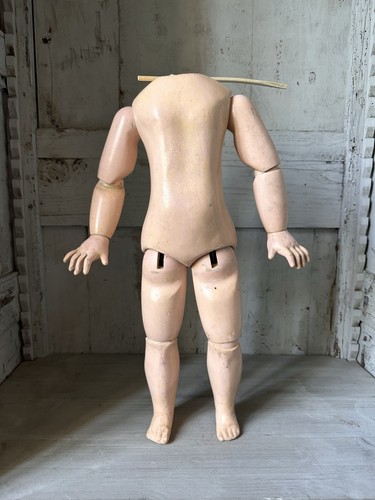 Corps jumeau bébé - corps,