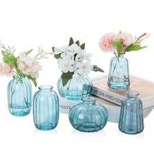 Vases en Verre Lot de 6 Petits
