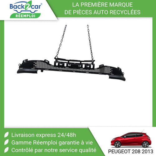 Grille pare choc - grille, pare-choc
