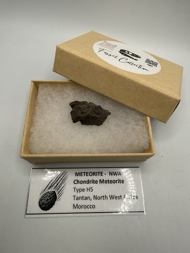 Authentique meteorite nwa - authentique,