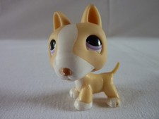 petshop LPS LITTLEST PETSHOP CHIEN BULL TERRIER