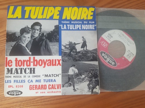 Tulipe noire alain delon - tulipe,