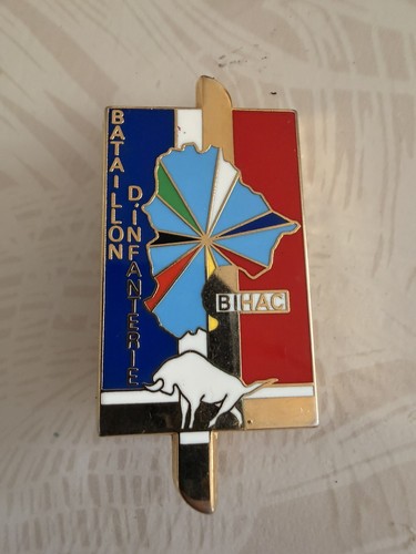 Insigne militaire bataillon - insigne,