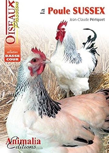 Poule sussex - la,