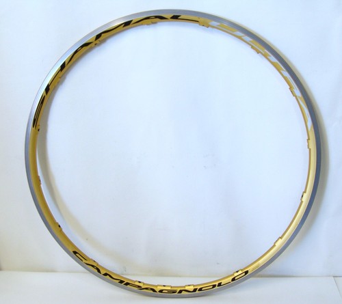 Campagnolo gold 16 - campagnolo, spoke