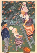 CPA ILLUSTRATEUR / HOMUALK / NORMANDIE / CUEILLETTE DES POMMES