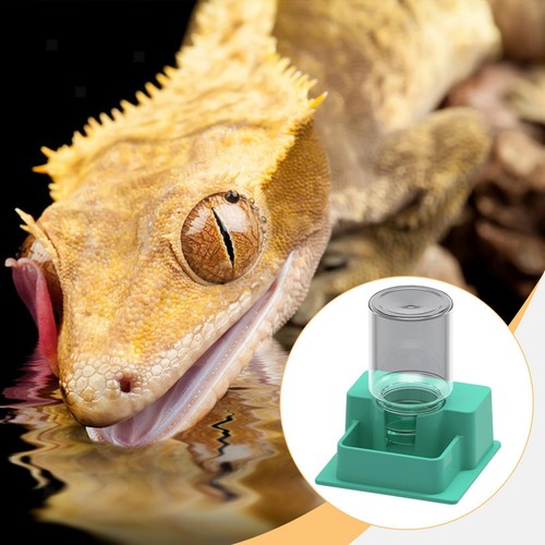 Abreuvoir automatique pour