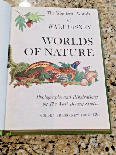 Vintage walt disney - walt, disney's