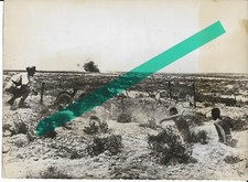 allemand WW2 photo de presse combats afrikakorps du 26 juin 1942 N°3