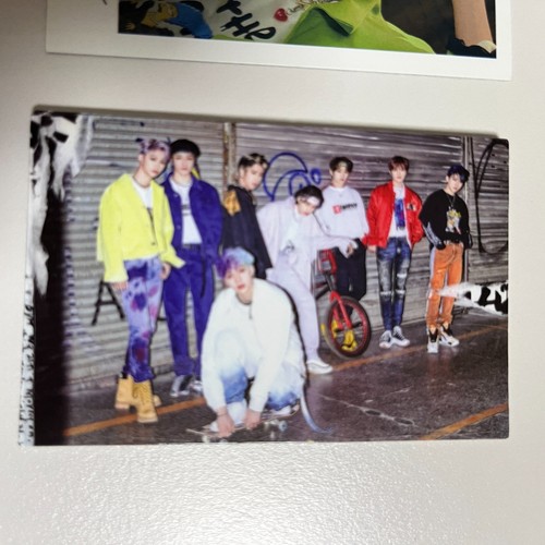 Album cartes photo stray - album,