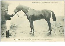 hippisme.n°35604.falot.bai.1909.CHEVAUX.SUPPLEMENT A LA FRANCE CHEVALINE.dos