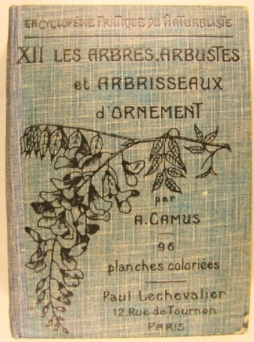 Camus les arbres arbustes - les, arbres,