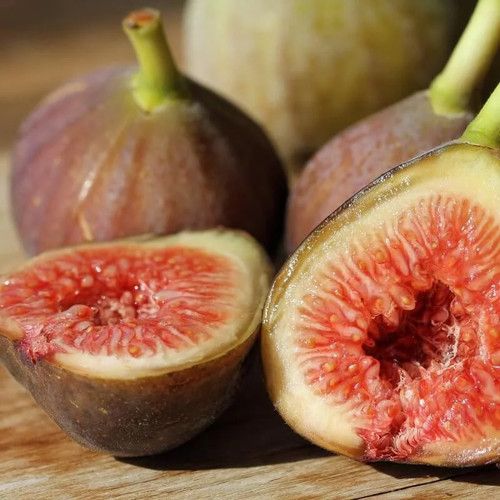 Ficus carica rosce signora - carica,
