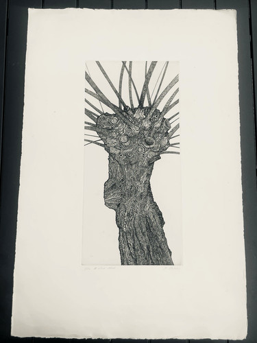 Gravure originale signée - gravure,