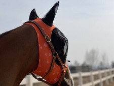 Masque anti-mouches pour