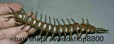 6.4" Collect Rare China Red Copper lifelike Carving Centipede Chilopod Sculpture