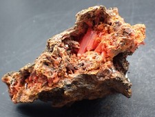 Crocoïte , Dundas , Tasmanie , Australie . RARE