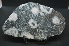 DIORITE ORBICULAIRE DU TALLANO