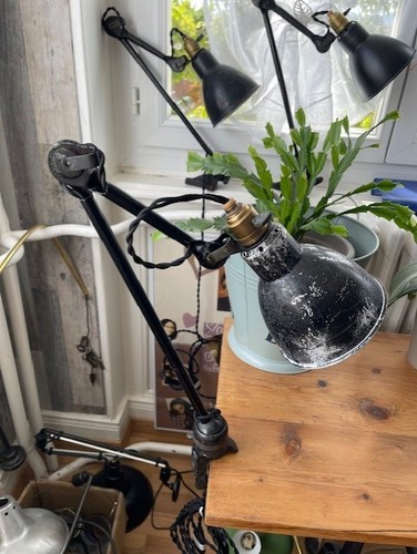 Lampe ajustable gras - ajustable, 204