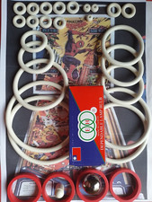 FLIPPER GOTTLIEB-THE AMAZIN