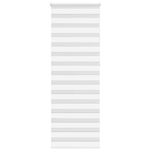 Store zèbre gris - , clair