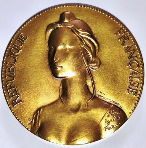 Magnifique médaille la - médaille, de