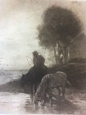 Chevaux à l'abreuvoir