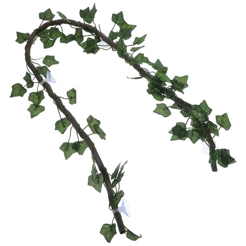 Décor reptile accessoires - de,
