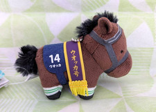 Collection pur-sang Petite