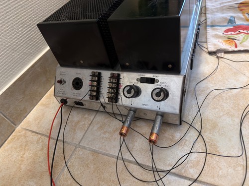 Rare macintosh mc250 - macintosh,