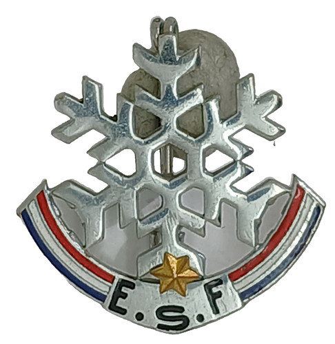 Insigne montagne ski - insigne, msk