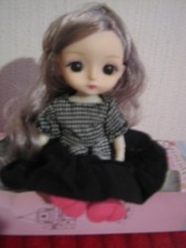 PETITE POUPEE BJD 16 CM NEUVE EN BOITE CHEVEUX GRIS ROSE