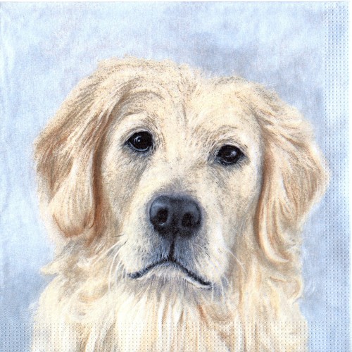 Serviettes papier chien - serviettes,