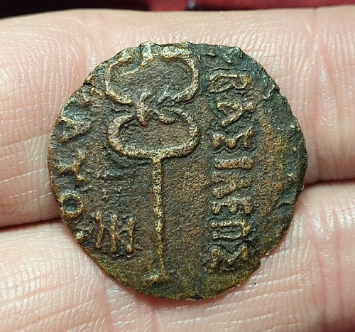 211 royaume indo scythe - ~,