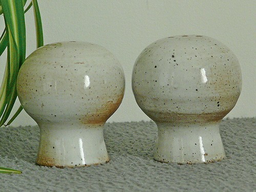 Duo sel poivre salière - sel,