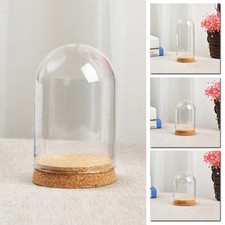 Transparent Verre Plante Fleur Jouet Présentation Cloche Bell Jar Dôme Base En
