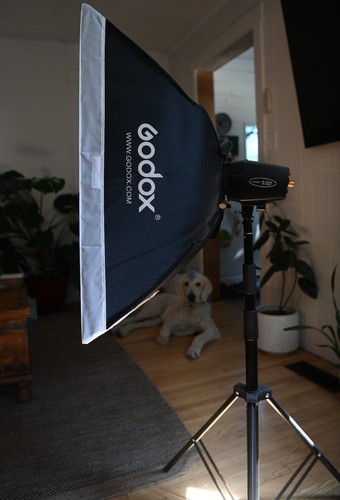 Professional studio flash - professional,