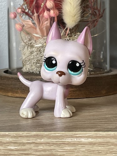 Petshop chien danois dogue - 💖petshop,