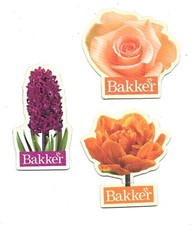 3 Magnets Bakker (Fleurs) - Ht. 6 cm