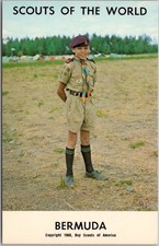 Vintage 1968 "SCOUTS OF THE